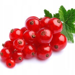 Czerwona porzeczka wino lane